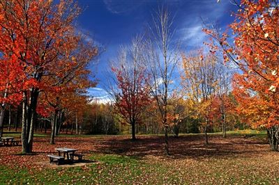 Algonquin Provincial Park